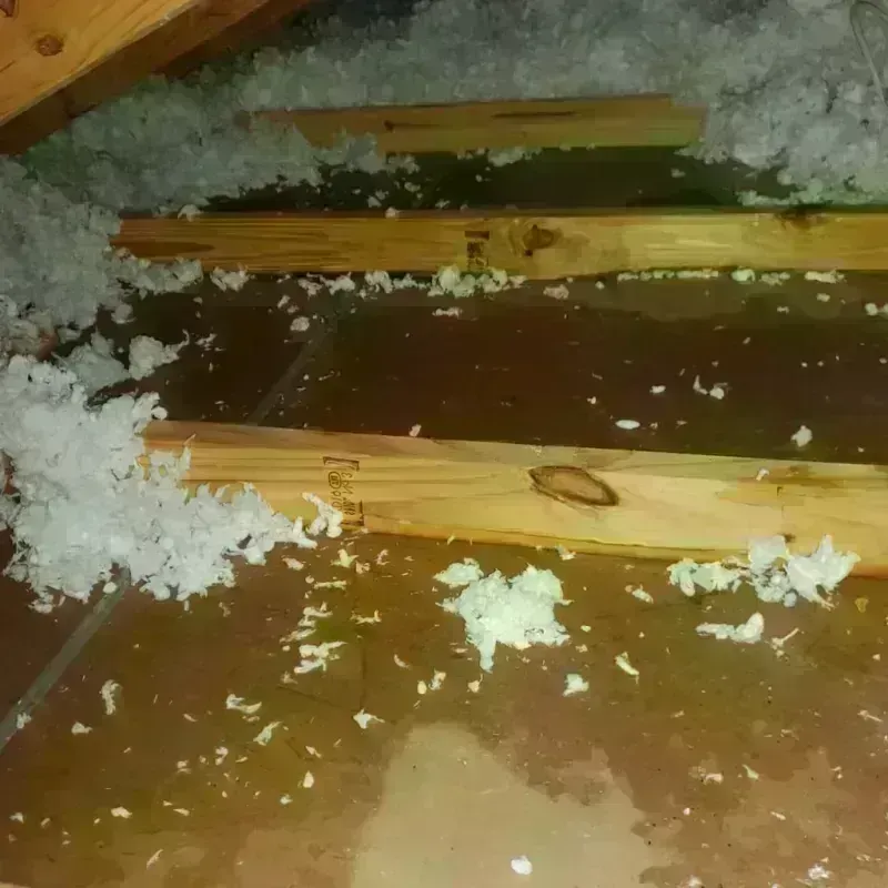 Attic Water Damage in Green, OR