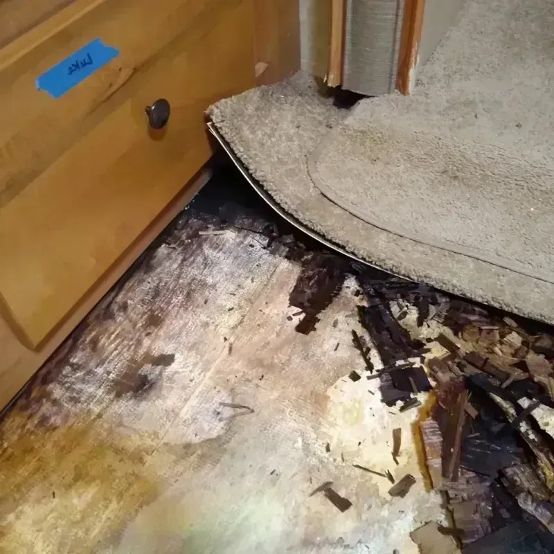 Wood Floor Water Damage in Green, OR